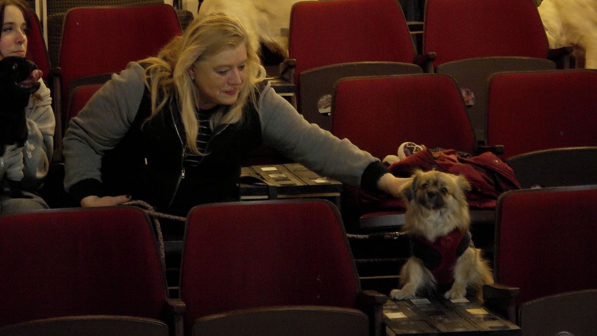 Psí promítání v pražském kině boduje. Pejsci jsou často slušnější než lidé, říkají návštěvníci