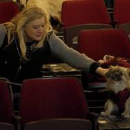 Psi jsou v Baltu vítaní i na běžných projekcích, nejen při speciálních večerech.