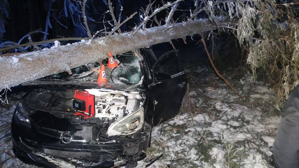 Na jedoucí auto spadl na Jesenicku strom