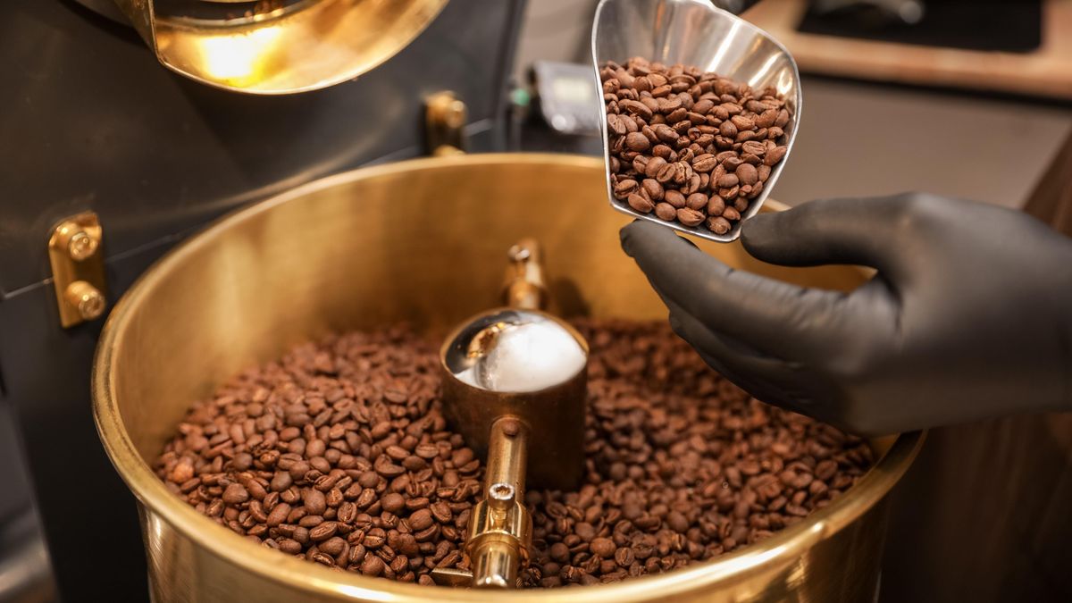 Káva bez kofeinu vs běžná káva: Která je podle dietologů skutečně zdravější?