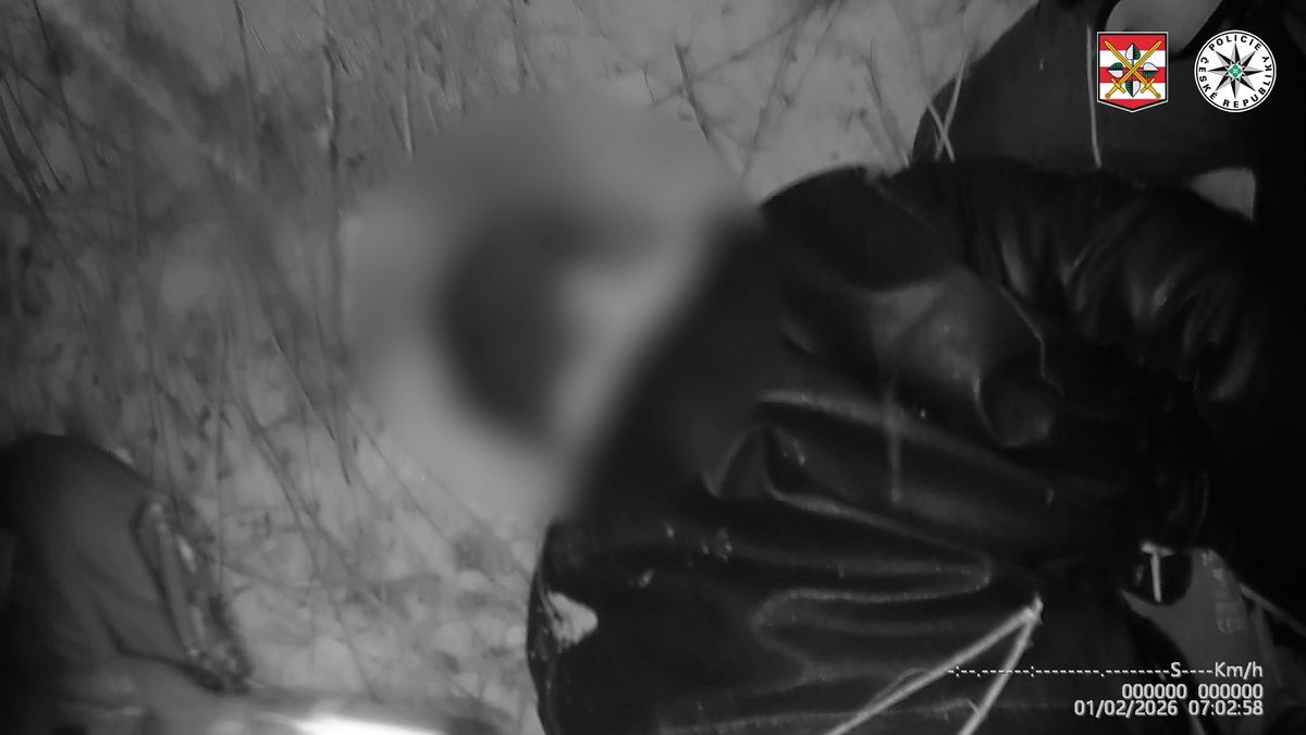 Obnažený cizinec v Brně se už chystal znásilnit svou oběť, ženu zachránil školák