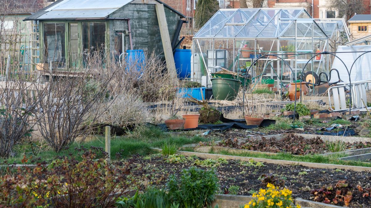 Naučte se správně číst počasí v únoru. První obleva neznamená, že máte vyrazit sázet