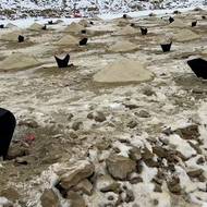 Pole nachystané na odstřel v příštím týdnu.