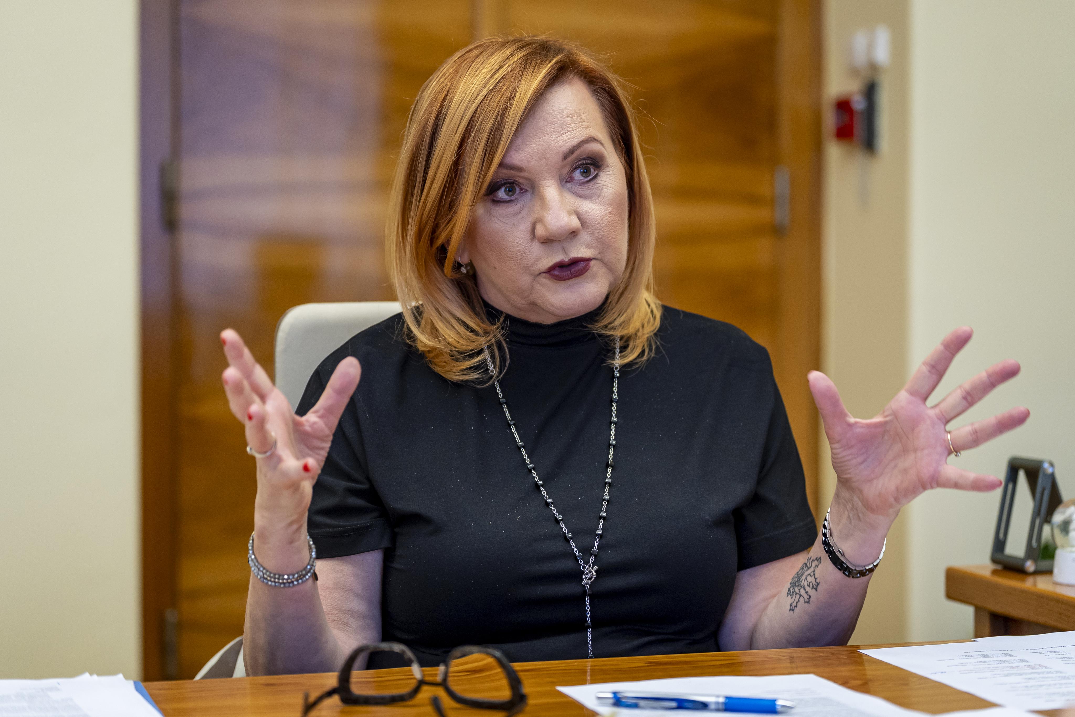 Rozpočet měl na konci února schodek 16,9 miliardy korun, ovlivnilo ho provizorium