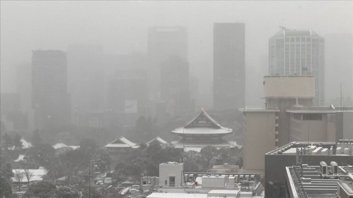 V Tokiu měli nejchladněji za posledních 42 let, za týden zažijí extrémní oteplení