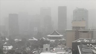 V Tokiu měli nejchladněji za posledních 42 let, za týden zažijí extrémní oteplení