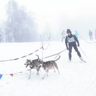 Musheři se museli potýkat s mlhou a měkkým sněhem.