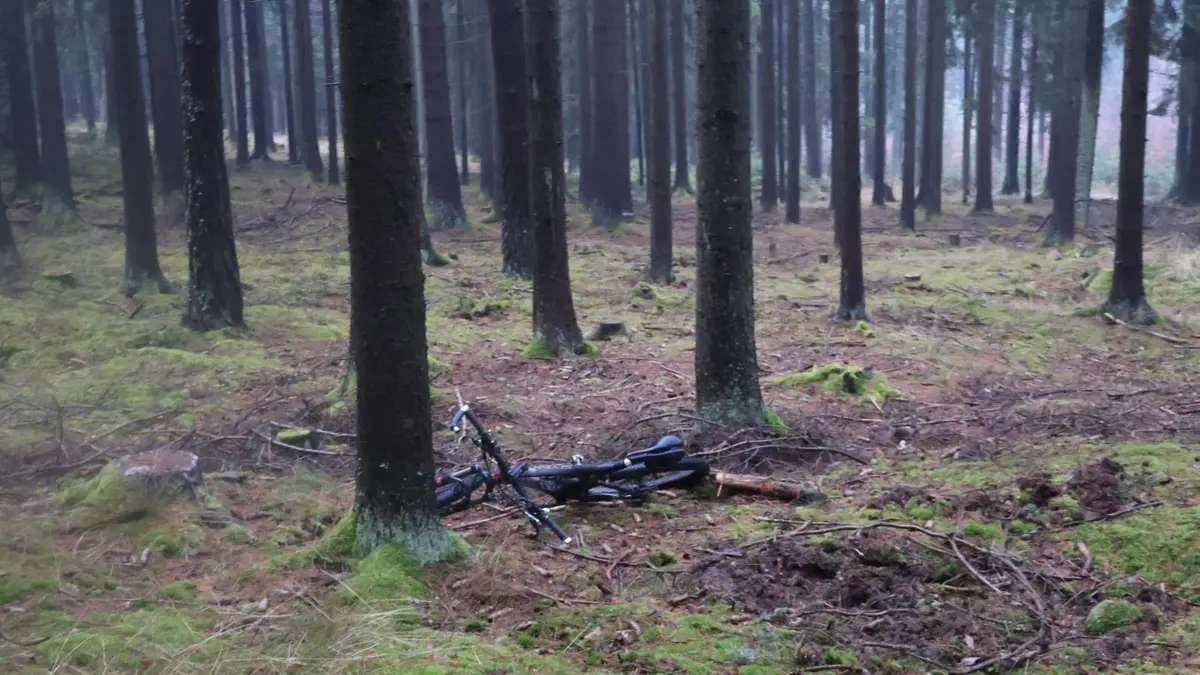Senior narazil v lese na Českobudějovicku do stromu. Na místě zemřel