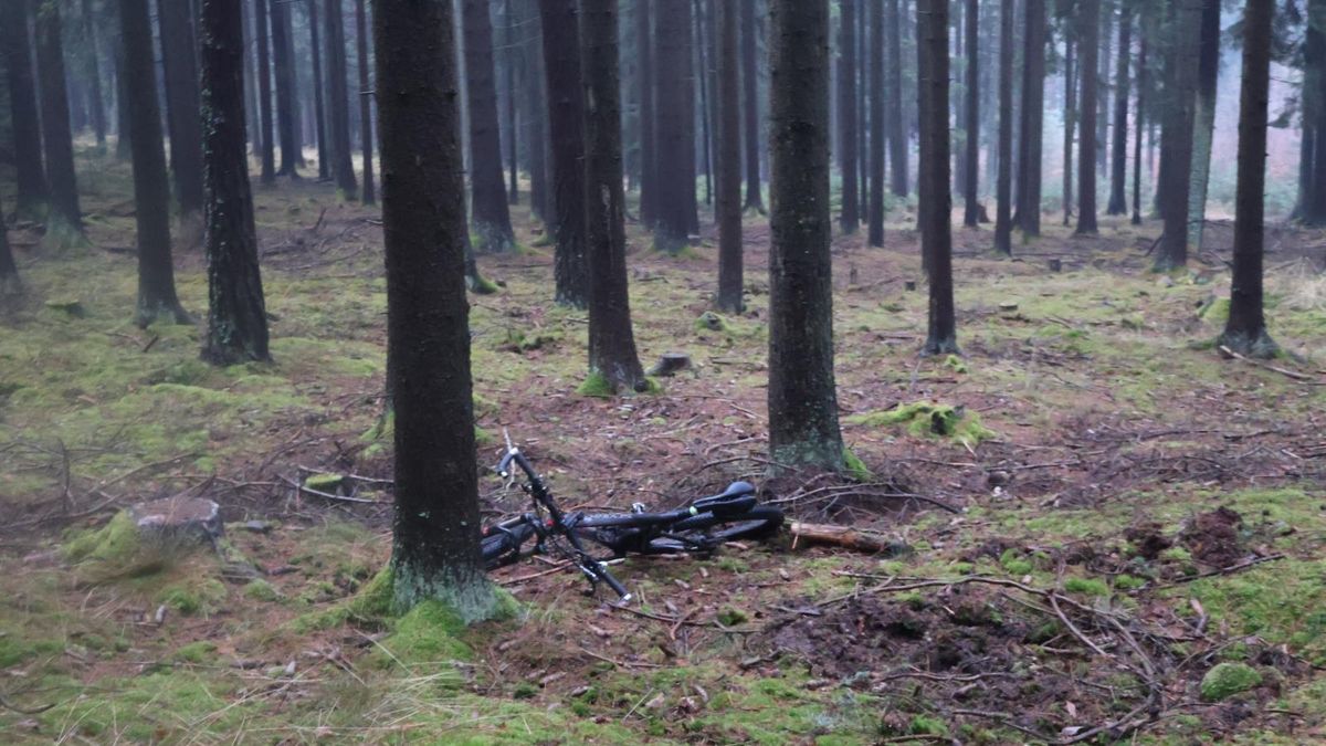 Senior narazil v lese na Českobudějovicku do stromu. Na místě zemřel