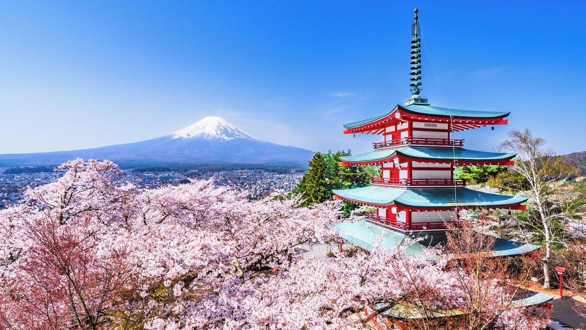 V Japonsku ruší kvůli nevychovaným turistům populární třešňový festival
