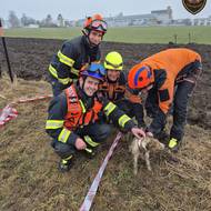 Hasiči zachraňovali psa uvízlého v betonové rouře na poli