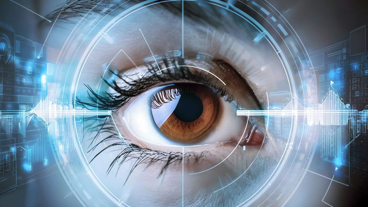 Bez etických omezení. Lidské optické iluze testují vědci na umělé inteligenci