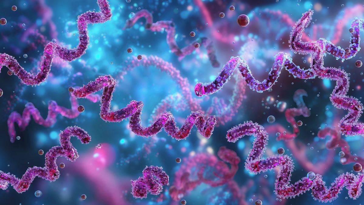 Syfilis je zřejmě mnohem starší, než jsme si mysleli, naznačuje nález z Kolumbie