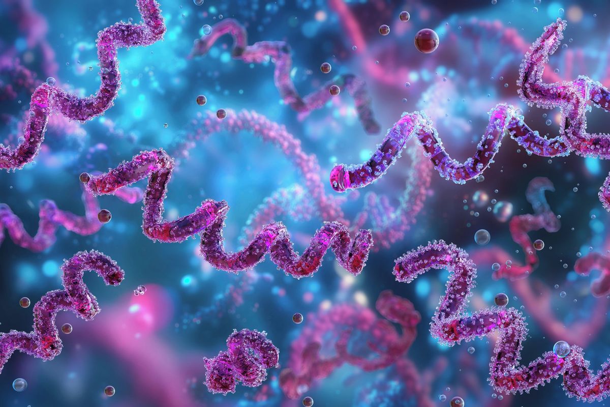 Syfilis je zřejmě mnohem starší, než jsme si mysleli, naznačuje nález z Kolumbie