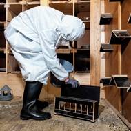 Vybudování holubníku stálo 150 tisíc korun.