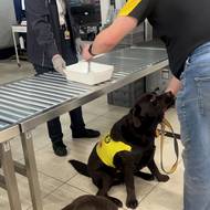 Na bezpečnostní kontrole