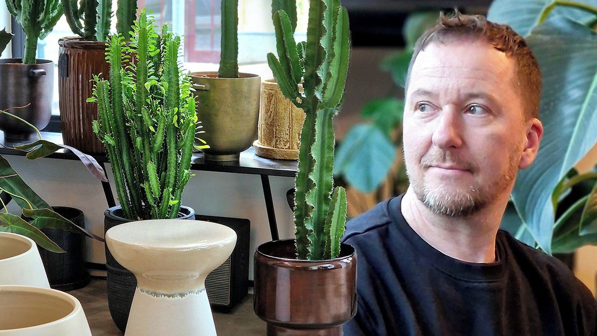 Pokojové rostliny pod lupou. Jak se o ně starat radí zahradník Pavel Grégr