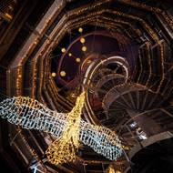 Stezka korunami stromů se světelnými objekty