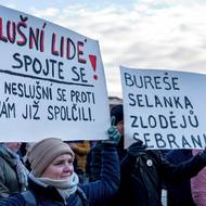 V Roudnici nad Labem se sešlo několik desítek občanů.