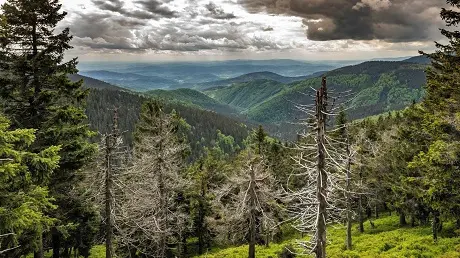 Chřadne příroda i krajina, akademici budou krizi biodiverzity v ČR čelit společně - Novinky