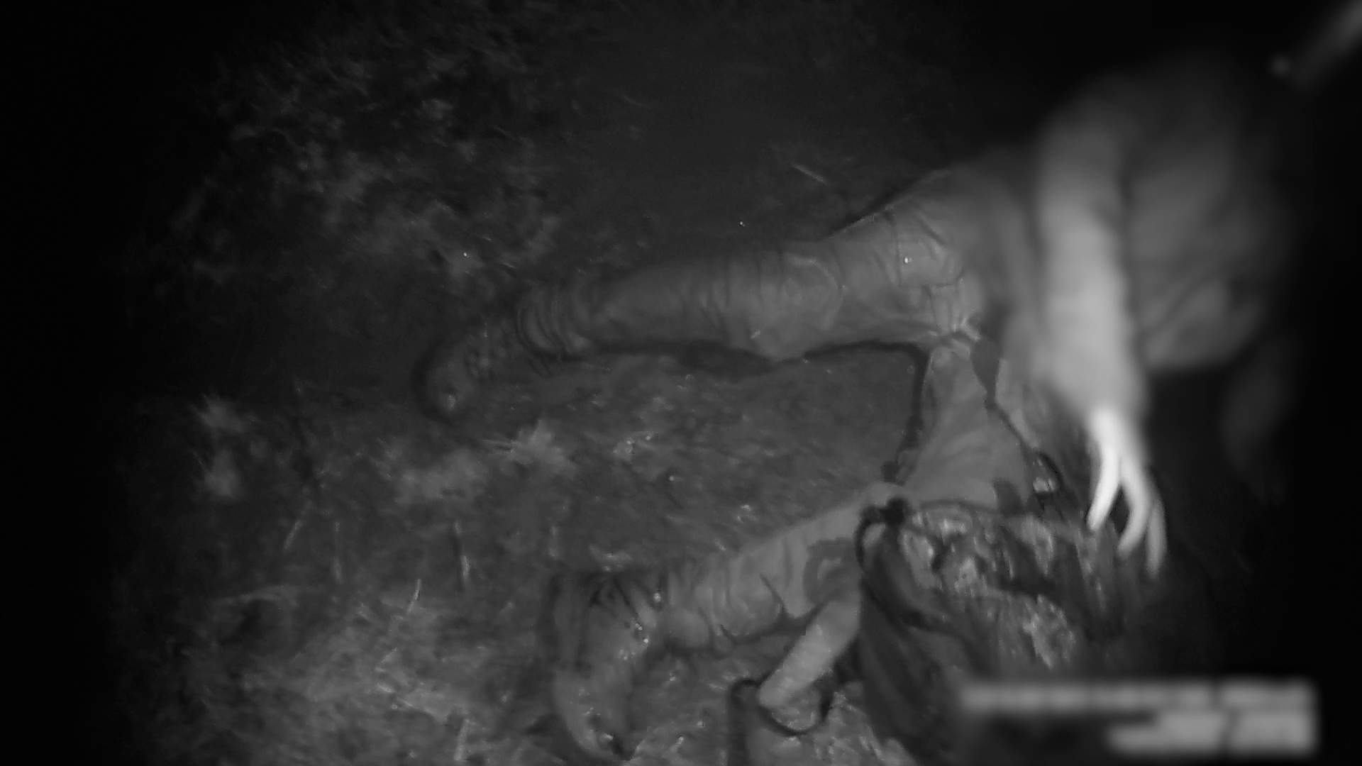 Muž na Břeclavsku při procházce upadl do bezvědomí. Probral se po několika hodinách za tmy a nemohl vstát