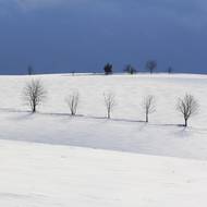 Zimní krajina u Sněžného ve Žďárských vrších