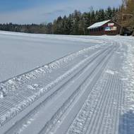 Běžkaři využívají vhodných podmínek také v okolí Žďáru nad Sázavou. Snímek je z areálu u Pilské nádrže.