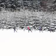 První nedočkavci vyrazili lyžovat hned po úterním a středečním sněžení. Snímek je  ze Tří Studní.