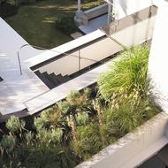 Jedním z cílů bylo zachovat na pozemku co nejvíce zeleně. Proto byla umístěna i na střeše přístavby.