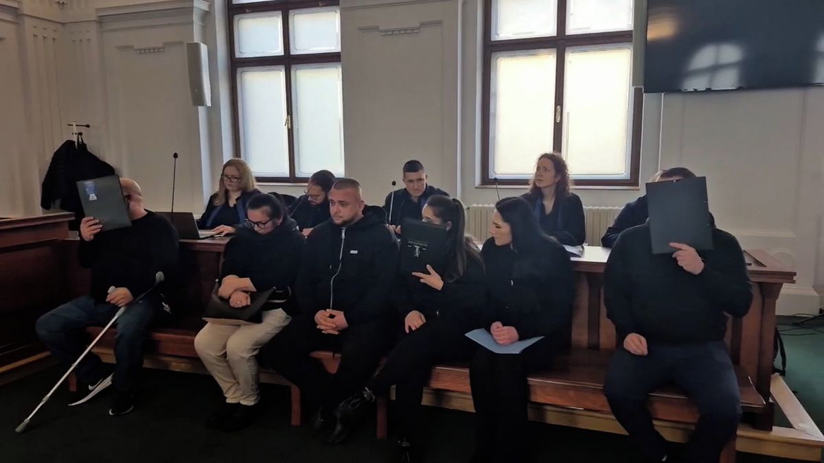 Nemocná štěňata vyhazovali do popelnice jako rozbité hračky. Ilegální obchodníky soudí za týrání