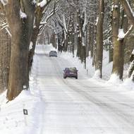 Stromořadí v obávaném dlouhém kopci mezi Sněžným a Podlesím