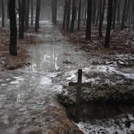 Po pohřebišti se válí kusy rakví i igelitu, ve kterém byla těla pohřbívána. Ze zamrzlých prázdných jam vystupují kácející se kříže.