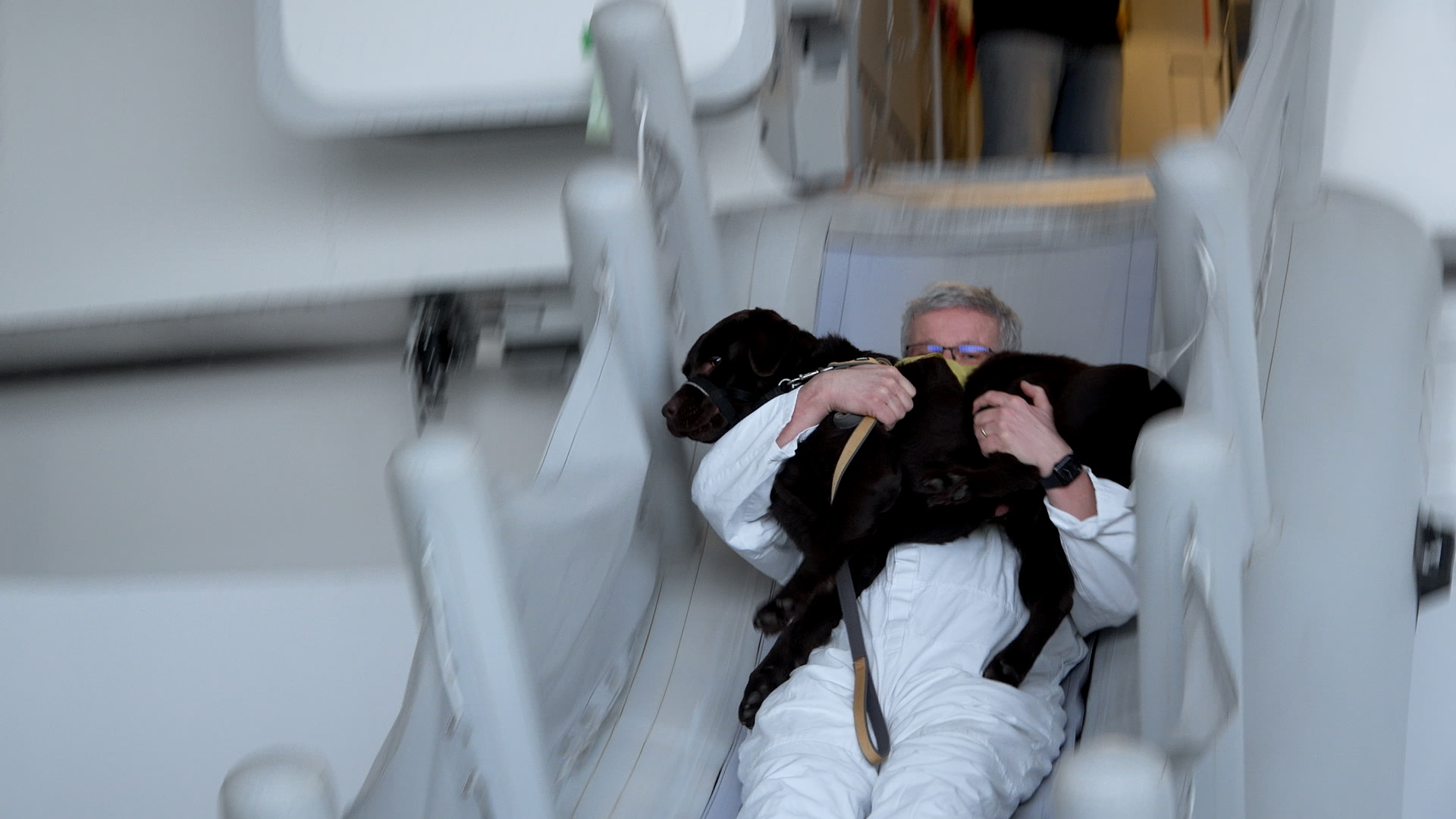 Panika v letadle i evakuační skluzavka. Natočili jsme, jak se cvičí asistenční psi na letišti