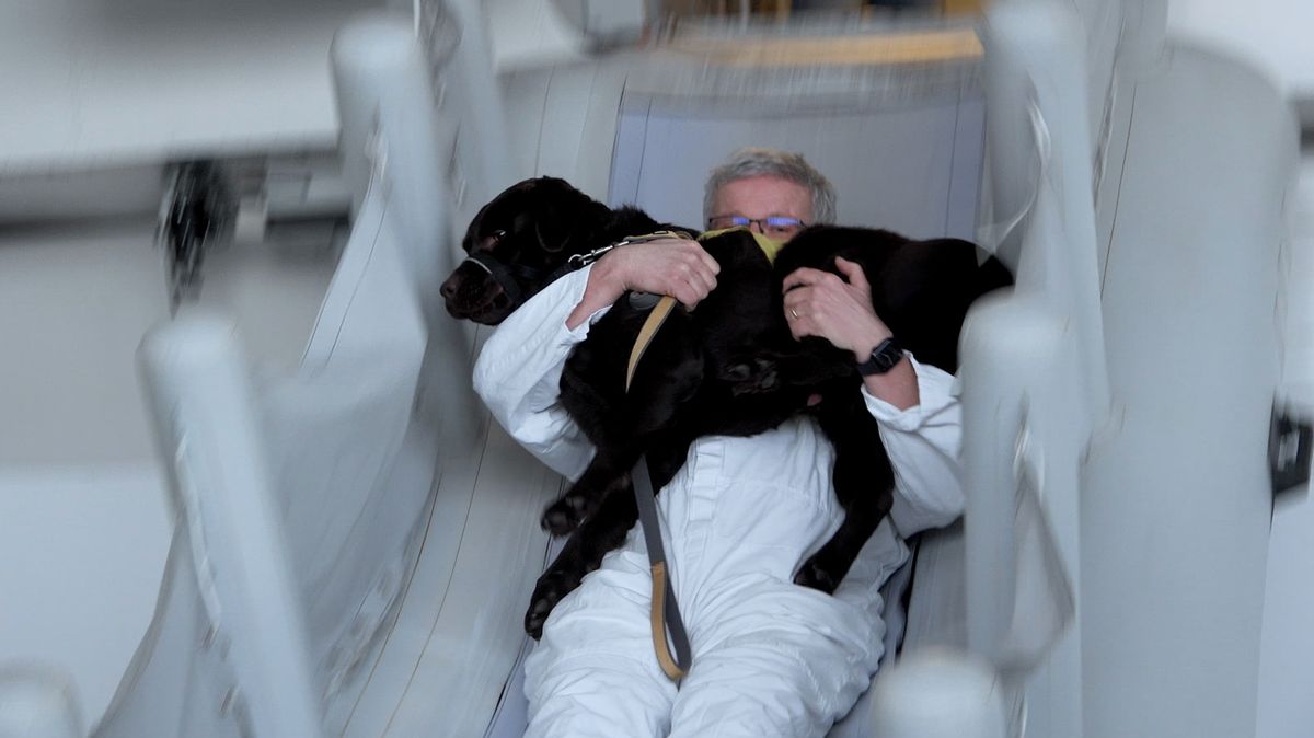 Panika v letadle i evakuační skluzavka. Natočili jsme, jak se cvičí asistenční psi na letišti