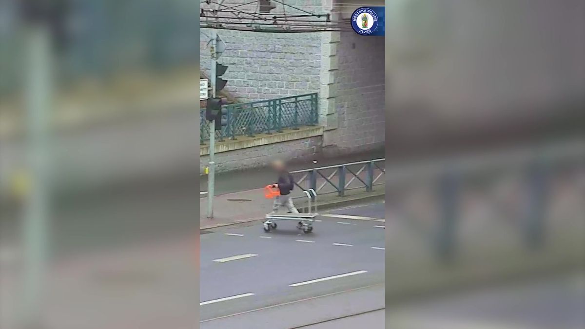 Muž se promenádoval po Plzni s kradeným nákupním vozíkem