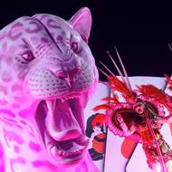 Rita Lee je byla brazilská kulturní ikona, proto mělo vystoupení na její počest velký ohlas.