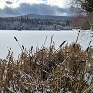 Zamrzlý Milovský rybník pod hřebenem Žďárských vrchů
