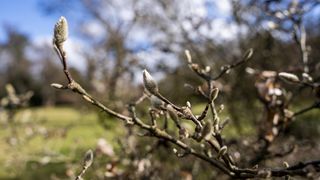 Po teplém úvodu jara se opět ochladí