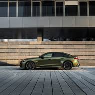 Rozšířeny jsou i blatníky.