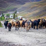 Pastevci v Khinaliqu