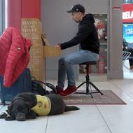 Pes musí poslušně ležet a čekat na páníčka.