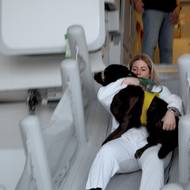 Výcvik asistenčních psů na letišti