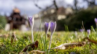 Teplo a slunečno vydrží až do příštího týdne