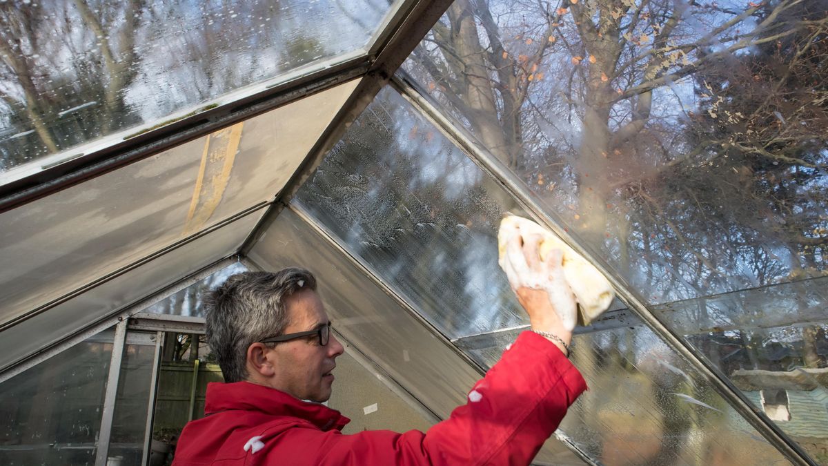 Příprava skleníku po zimě je klíčová, jen tak předejdete plísním