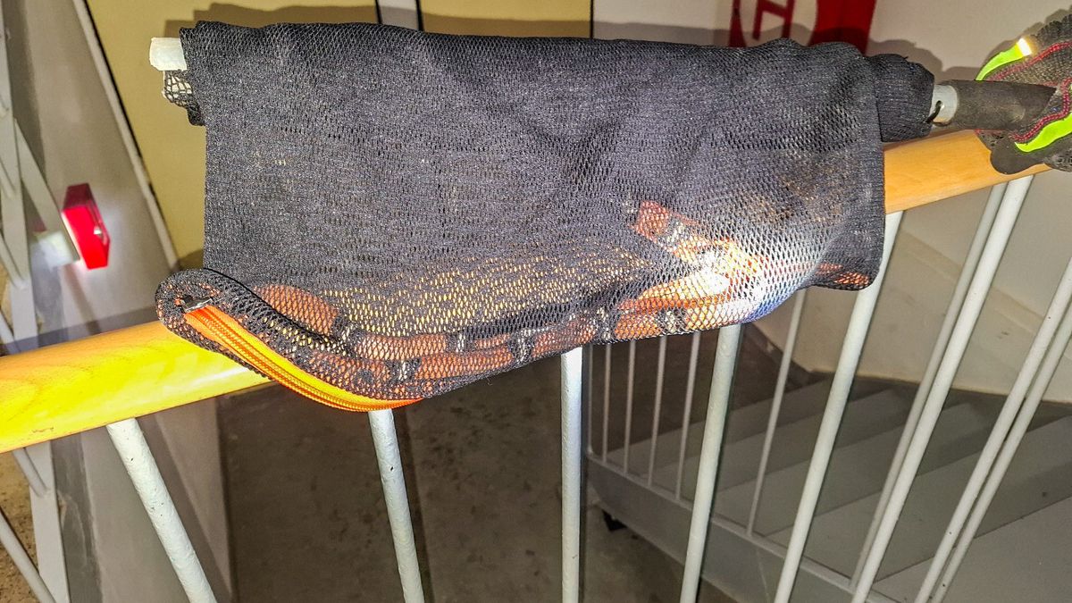 Obyvatele domu v Přerově vyděsil had pod schodištěm