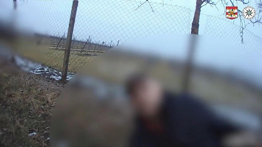 Namol opilého řidiče na Břeclavsku zastavily až sloupky vinohradu. Kolik nadýchal, překvapilo i policisty