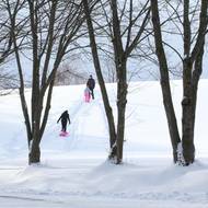 Zimní radovánky ve Žďárských vrších