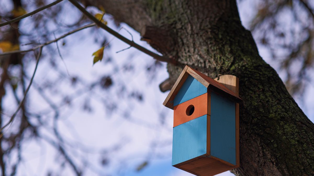 Využijte teplo na zahradě. Je nejvyšší čas vyčistit ptačí budky, než dorazí první nájemníci