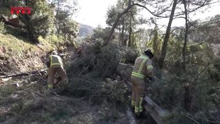 Větrná bouře Nils lámala v Evropě rekordy, s dalším úderem přichází Oriana