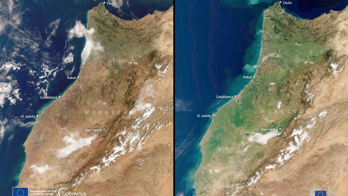 Maroko se po sedmiletém suchu zazelenalo